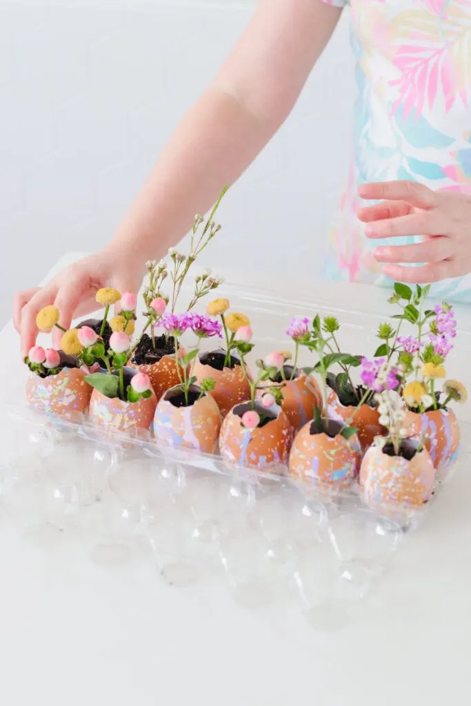 Eggshell Planters