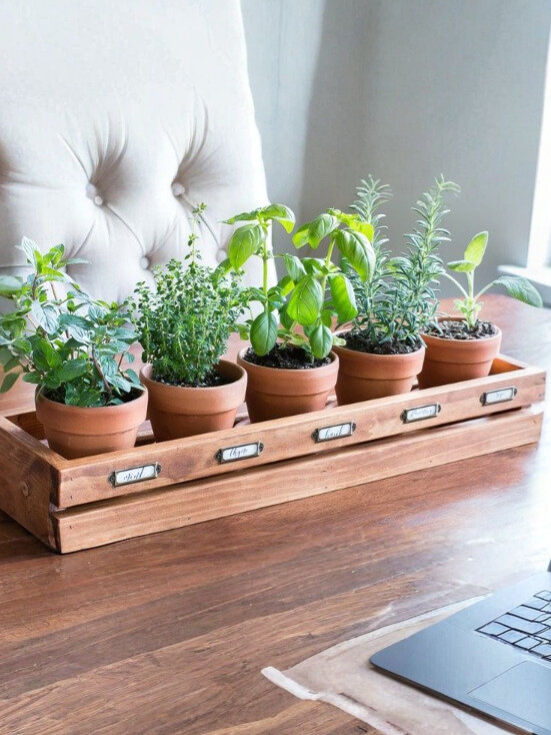 Herb Garden as a Centerpiece