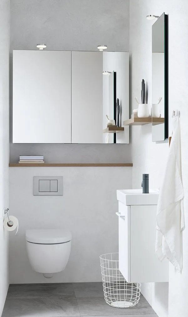 Mirrored Cabinet Above the Toilet