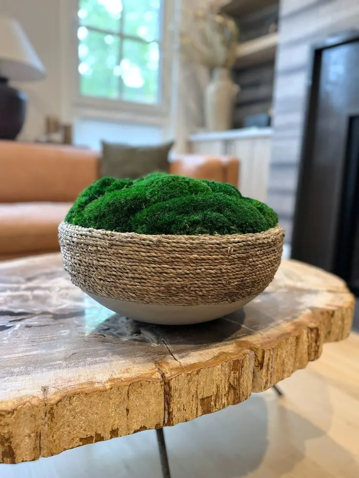 Moss bowl used as an end table decor