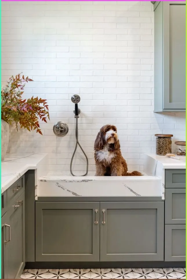 Mudroom Pet Washing Station