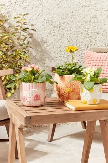 Ceramic Outdoor Pots
