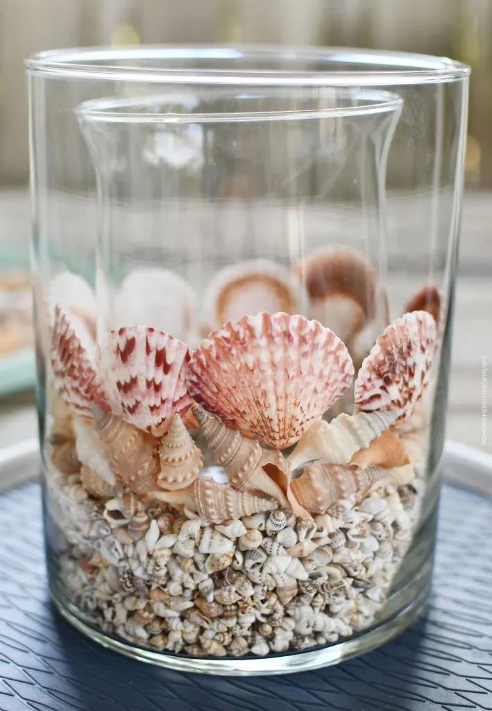 Sea Shells Jar as a Summer Decoration on the Windowsill